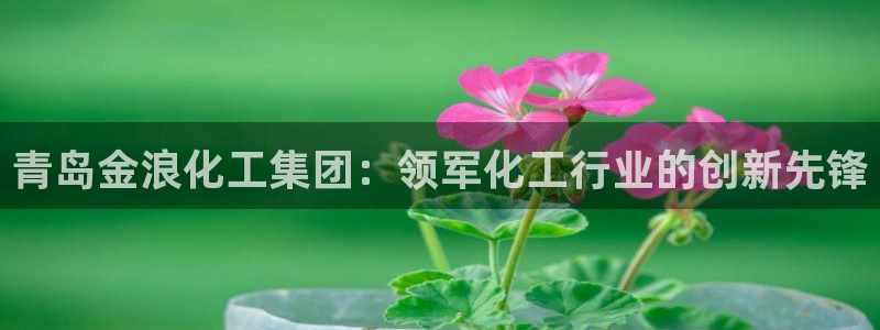 球盟会网页版登陆