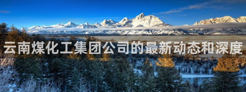 球盟会入口