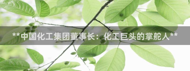 球盟会头号玩家是谁