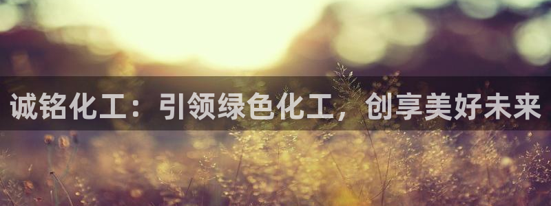 球盟会APP最新地址