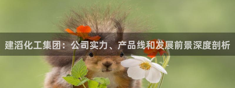 球盟会里面有打牌的嘛是真的吗