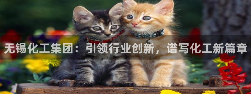 球盟会在线登录官网