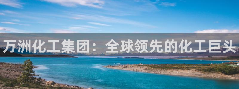 球盟会官方下载