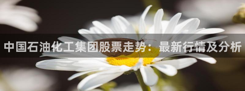 球盟会和中欧