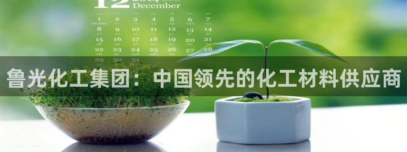 球盟会在线网站：鲁光化工集团：中国领先的化工材料供应商