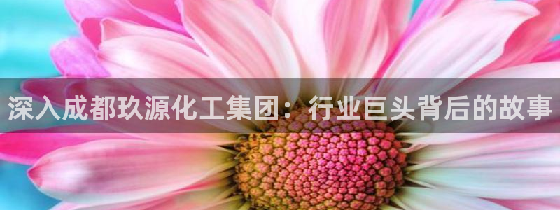 球盟会app最新地址在哪看