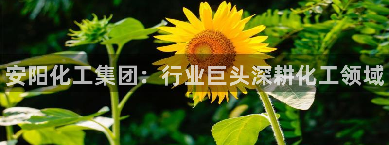 球盟会登陆入口