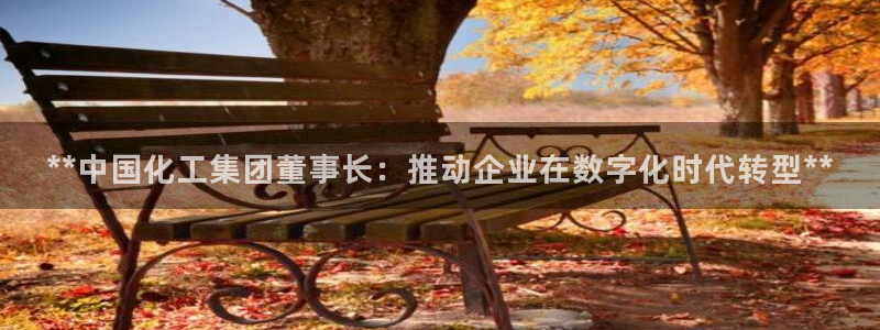 球盟会地址：**中国化工集团董事长：推动企业在数字化时代转型
