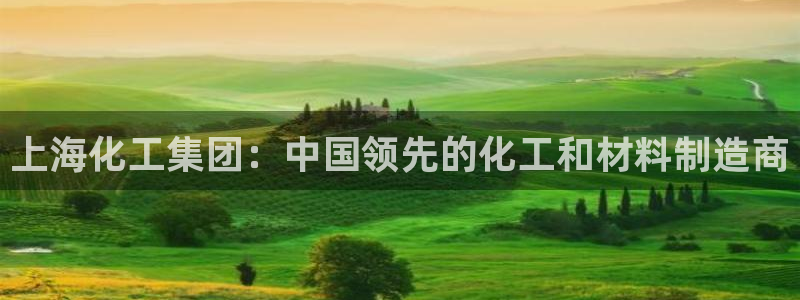球盟会网址多少：上海化工集团：中国领先的化工和材料制造商