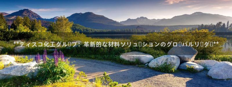 千亿球盟会乐玩：**ディスコ化工グループ：革新的な材料ソリュ