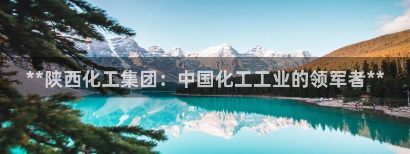 球盟会qm8597：**陕西化工集团：中国化工工业的领军者*