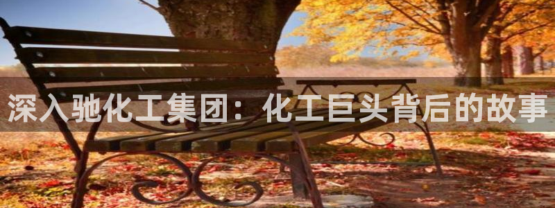球盟会能提现吗安全吗
