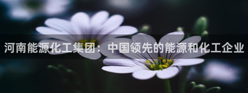 球盟会官方app首页入口：河南能源化工集团：中国领先的能源和
