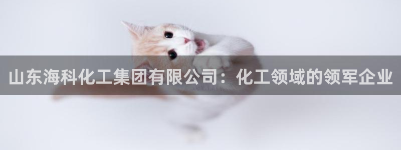 球盟会官方下载：山东海科化工集团有限公司：化工领域的领军企业