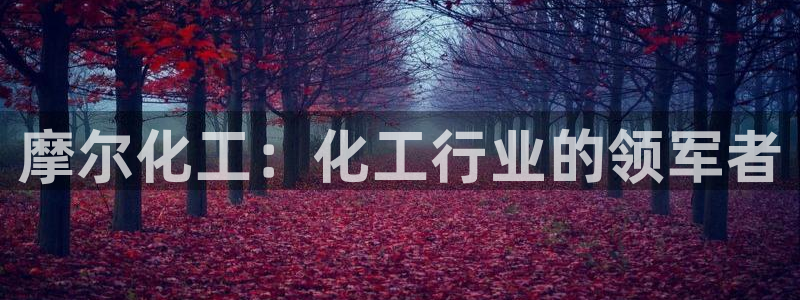 球盟会网页登录