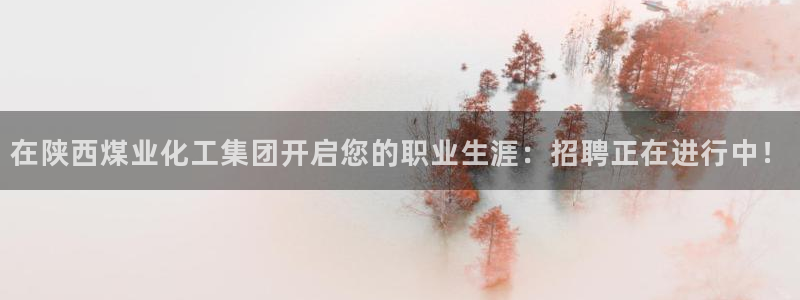 球盟会黑：在陕西煤业化工集团开启您的职业生涯：招聘正在进行中