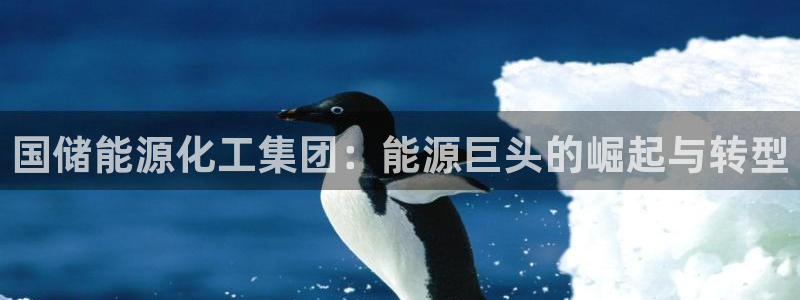 球盟会网址