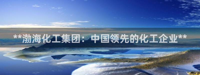 球盟会封禁：**渤海化工集团：中国领先的化工企业**