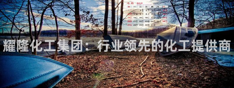 球盟会黑网：耀隆化工集团：行业领先的化工提供商