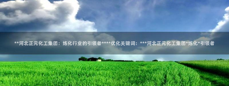 球盟会有限公司怎么样：**河北正元化工集团：炼化行业的引领者