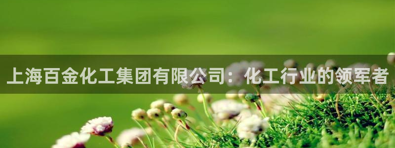球盟会qm9：上海百金化工集团有限公司：化工行业的领军者