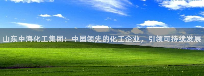 球盟会官网入口：山东中海化工集团：中国领先的化工企业，引领可