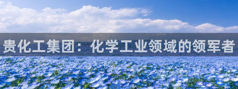 球盟会官方下载