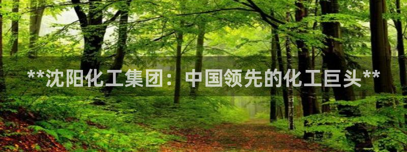 球盟会能退钱吗现在：**沈阳化工集团：中国领先的化工巨头**