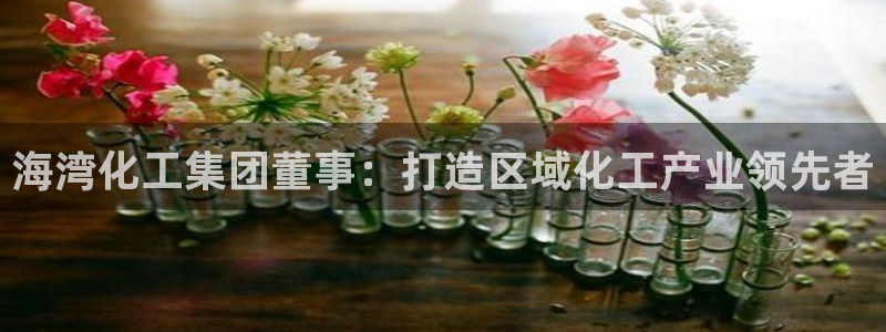 球盟会官方最新入口