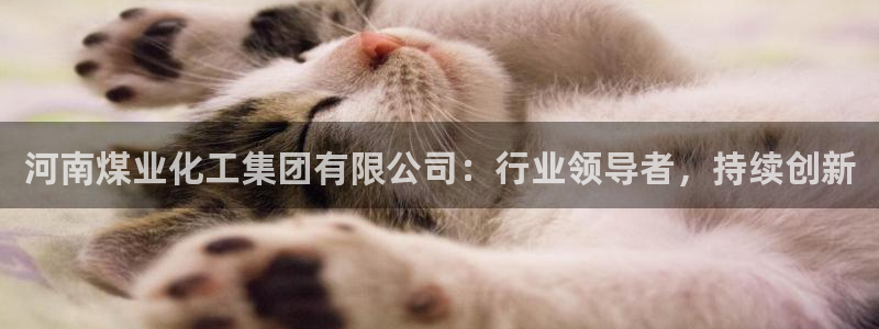 球盟会qmh登录地址：河南煤业化工集团有限公司：行业领导者，