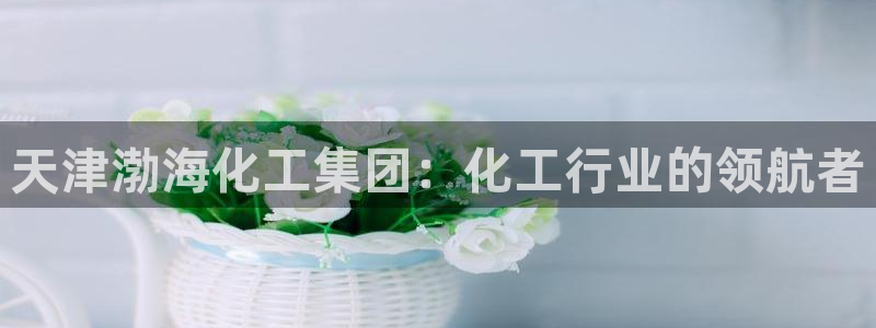 球盟会qm9
