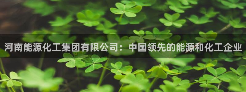球盟会优惠领取网站是真的吗：河南能源化工集团有限公司：中国领