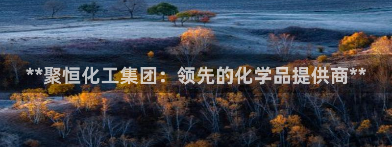 球盟会最新：**聚恒化工集团：领先的化学品提供商**