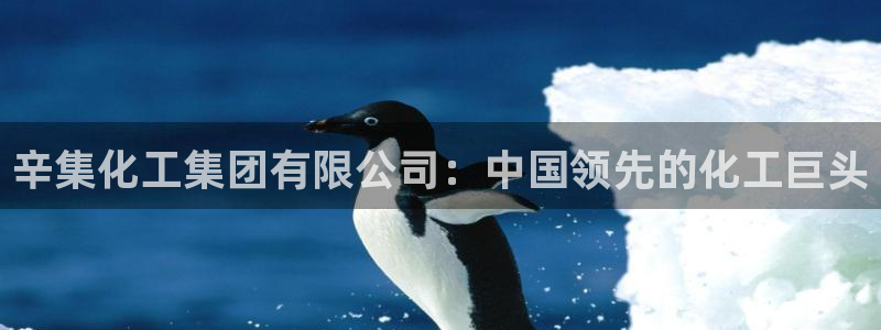 球盟会官方网页登录：辛集化工集团有限公司：中国领先的化工巨头