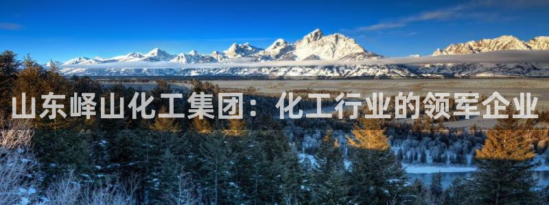 球盟会可靠不