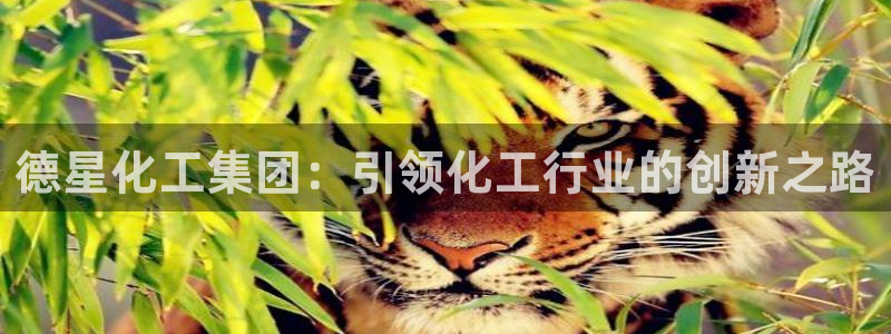 球盟会app最新地址在哪找