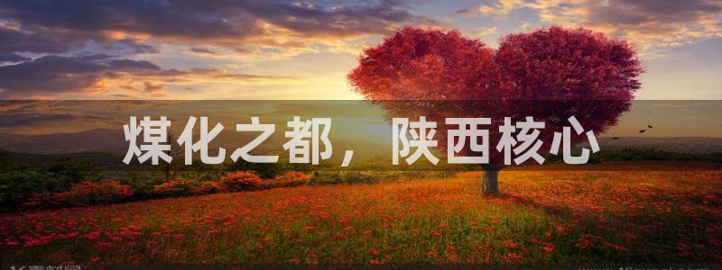 球盟会黑平台：煤化之都，陕西核心