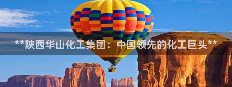 球盟会电子