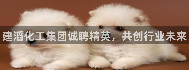 球盟会黑