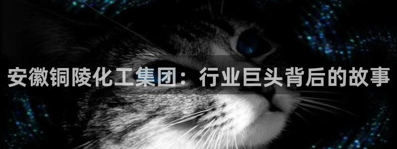 球盟会电子