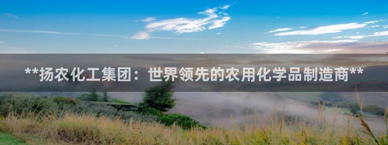 球盟会最新活动