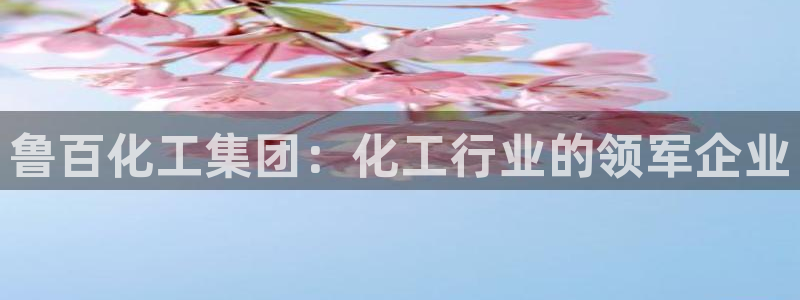 球盟会网址qm9 - 球盟会qmh网页版登录
