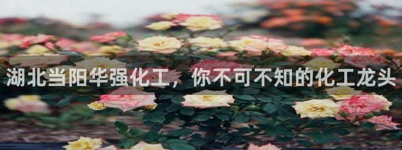 球盟会电子好下吗