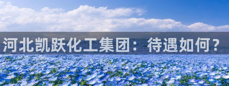 球盟会论坛