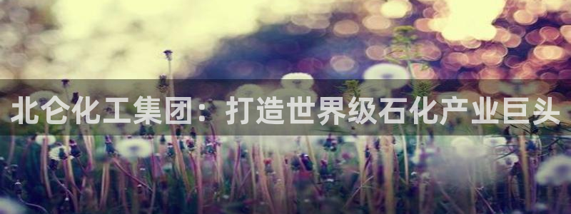 球盟会网页版