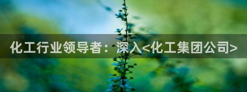 球盟会平台会黑单吗