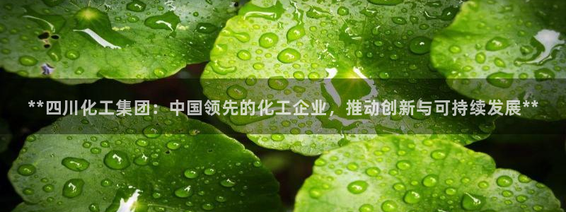 球盟会app手机登录