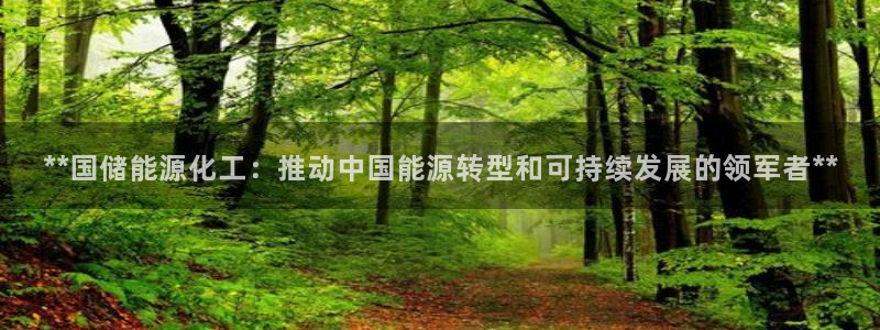 球盟会官方网站入口