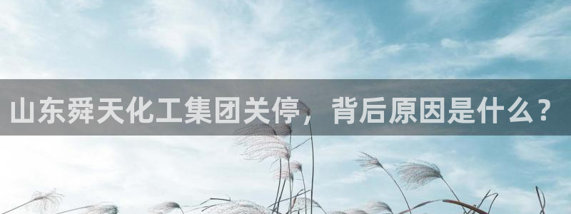 球盟会体验金
