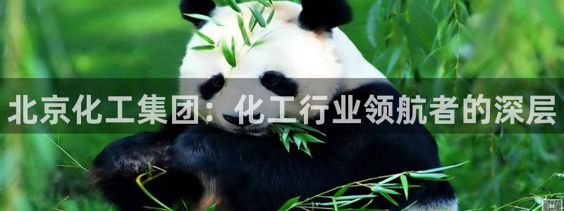 球盟会最新活动